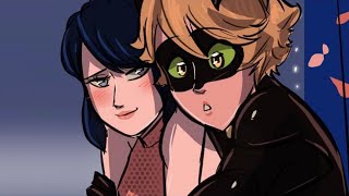 Représailles Part 17  Miraculous Ladybug Comic Dub [upl. by Gibun]