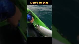 Sometimes the fish take revenge kayakfishing [upl. by Ekaterina]