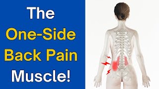 The OneSided Lower Back Pain Muscle  How To Release It For INSTANT Relief [upl. by Wyck]