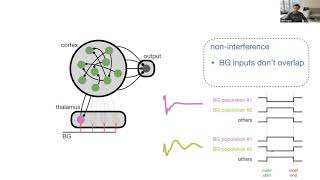 Keynote Thalamocortical loops control cortical dynamics in a model of flexible motor sequencing [upl. by Oicnecserc]