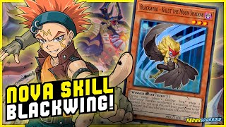 ASANEGRA NOVAS CARTAS E SKILL NOVA DO CROW  YuGiOh Duel Links 1781 [upl. by Reffineg680]