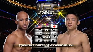 Demetrious Johnson vs Kyoji Horiguchi Full Fight Full HD [upl. by Ahsenac71]