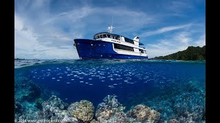 Raja Ampat Aggressor Liveaboard Promo [upl. by Namref]