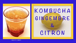 Kombucha Gingembre et Citron  Recette Maison Boisson Rafraîchissante amp Santé [upl. by Rawley]