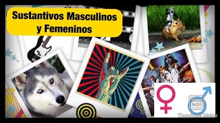 Sustantivos Masculinos y Femeninos Reglas  Español Básico clase 5 [upl. by Ennayelhsa]