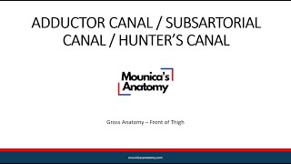 Gross Anatomy  Lower Limb  Adductor canal [upl. by Oicnerolf570]