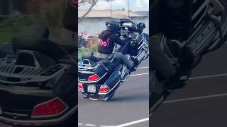 Biker Stunt Girl shorts youtubeshorts wheeliebike motorcycle zx10r vehicle wheelie [upl. by Eden444]