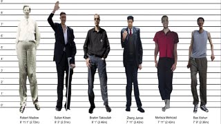 Tallest Man Ever  By Country [upl. by Eceined264]