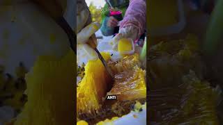 Enjoy the juicy harvesting honey 🐝🍯 honey honeybee shorts satisfying [upl. by Carma]