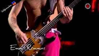 Red Hot Chili Peppers  Emit Remmus  Live in Chorzów [upl. by Adolph]