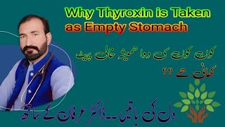 Why Tab Thyroxin is taken as Empty Stomachby Dr Irfan Majeed [upl. by Alracal]