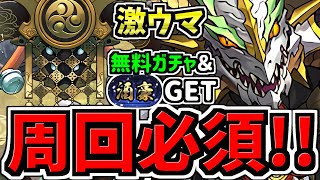 【周回必須】無料ガチャamp称号ゲット！シロキセイリュウ降臨周回！ノルディス編成！報酬激ウマです！代用・立ち回り解説！確保数解説付き【パズドラ】 [upl. by Loma]