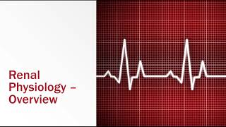 Renal Physiology Overview [upl. by Anada271]