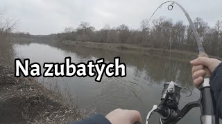 Na zubatých🎣 [upl. by Eibbor]