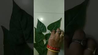 Flower Leaf Lord Ganesha 💞youtubeshorts beautiful video trending [upl. by Mehsah]