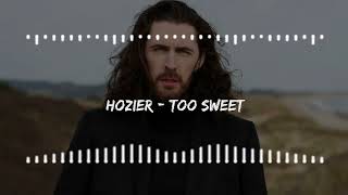 Hozier  Too Sweet [upl. by Doralin381]