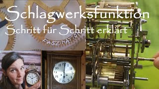 So funktioniert das Schlagwerk einer mechanischen Uhr SchlagGongFunktionsweiseFunktionchime [upl. by Atnamas411]