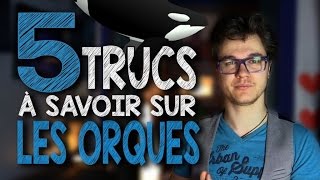 CHRIS  5 Trucs à Savoir Sur Les Orques [upl. by Ellesij]