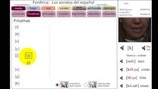 Fonética LOS SONIDOS DEL ESPAÑOL  Parte 1 [upl. by Dorahs]