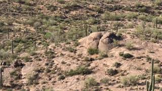 Hoo Doo trail Gold Canyon Az [upl. by Dorinda]