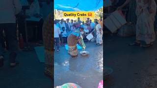 Fresh LIVE Crabs 420 in YanamMarket trending video shorts shortsfeed yanam fish youtubeshorts [upl. by Evanthe95]