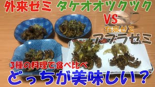 外来種タケオオツクツクとアブラゼミを３種の料理で食べ比べ [upl. by Parks419]