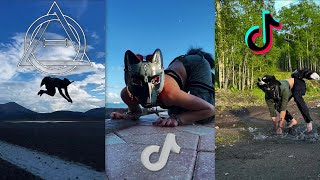 🦊Therian and Quadrobics TikToks  Compilation 🐾🍂  Alterhumans of TikTok 8 [upl. by Aamsa559]