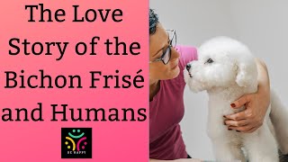 The Love Story of the Bichon Frisé and Humans [upl. by Emelda]