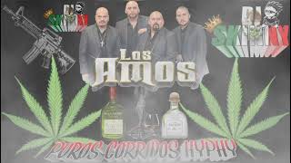 puros corridos hyphy❇LOS AMOS DE Nuevo leon❇ [upl. by Strauss705]