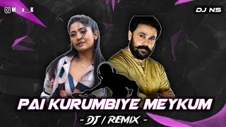 Paikkurumbiye Meykkum Remix By Dj Nithin Smiley From Mk City [upl. by Ormond891]