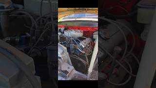 ‘53 F100 shortsvideo shortvideos shorts short car cars nice cool fyp fun vehicle truck [upl. by Fechter]