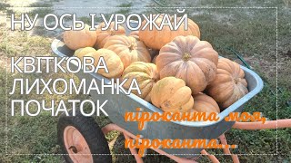 Врожай серпеньвересень Піроканта вражає Не були на дачі 2 тижні Квіткова лихоманка  початок🧐 [upl. by Karolina258]