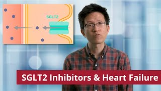 SGLT2 Inhibitors and Heart Failure [upl. by Annanhoj74]