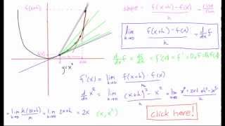 Differentiation explained [upl. by Ahsiam]