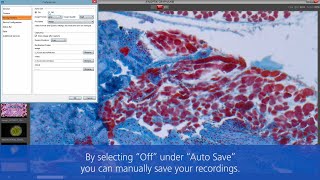 JENOPTIK GRYPHAX® Microscope Cameras  3  Software Setting Preferences [upl. by Hake]