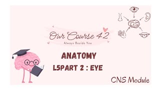 L5 anatomy P2Eye ampOrbital nervesCNS42 [upl. by Croteau]