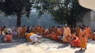 Sadhu Bhandara at Swami Dayananda Ashram in Rishikesh India [upl. by Dnomso]