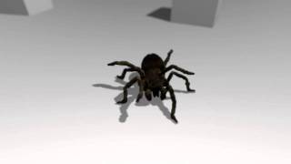 Blender Animation tests from the next two spider parts [upl. by Homere442]