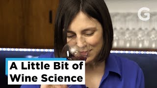 The Science of Wine Tasting [upl. by Barvick]