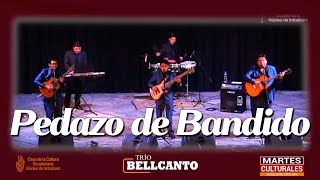 PEDAZO DE BANDIDO  TRIO BELLCANTO  EN VIVO [upl. by Hathaway]