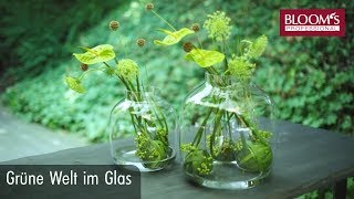 Trend Floralien im Glas  Floral Design  BLOOM’s Floristik [upl. by Olmstead]