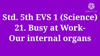 Std 5th EVS 1 Science 21 Busy at Work  Our Internal Organs part 2 [upl. by Aillij]