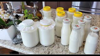 How to Make the Sweetest Homemade Milk Kefir even Sweeter [upl. by Arquit]