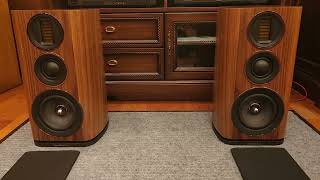 Wharfedale Evo 42 [upl. by Eckhardt]