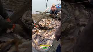 China Amazing Fishing Technique Part 2 [upl. by Elle]