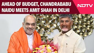 Budget 2024  Ahead Of Budget Chandrababu Naidu Meets Amit Shah In Delhi [upl. by Airet651]