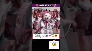 Strawberry 🍓 cat 💕🥺😱 cat amazingfacts catlover story cute aicat facts catfactoid [upl. by Anatolio]