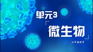 6年级  科学  单元3 微生物 （1） [upl. by Salchunas]