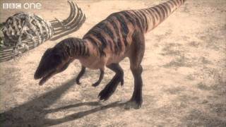 Carcharodontosaurus  Planet Dinosaur  Episode 1  BBC [upl. by Nyrek]