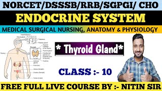 ENDOCRINE SYSTEM Medical Surgical Nursing CLASS 10FREE LIVE COURSE NORCETDSSSBRRB freeclasses [upl. by Janessa449]